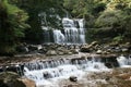Rainforest Waterfall Royalty Free Stock Photo