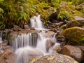 Rainforest waterfall Royalty Free Stock Photo