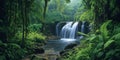 Rainforest waterfall, deep green forest and foliage Royalty Free Stock Photo