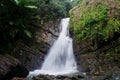 Rainforest waterfall in Puerto Rico Royalty Free Stock Photo