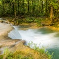 Rainforest Waterfall Royalty Free Stock Photo