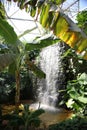 Rainforest Waterfall at Topeka Zoo