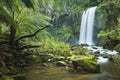 Rainforest waterfalls, Hopetoun Falls, Victoria, Australia Royalty Free Stock Photo