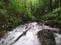 Rainforest of westernghats, cave, river, beauty