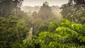 Rainforest wiew from the Canopy Walk Tower In Sepilok, Borneo