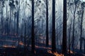 Rainforest wildfire environment disaster background. Jungle forest bushfire scene with dire consequences for nature