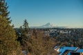 Rainier From Burien 7 Royalty Free Stock Photo