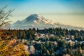 Rainier From Burien 4 Royalty Free Stock Photo