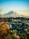 Rainier From Burien 8 Royalty Free Stock Photo