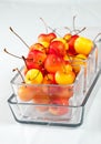 Rainier cherries Royalty Free Stock Photo