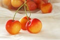 Rainier Cherries