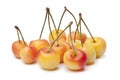 Rainier cherries