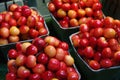 Rainier Cherries Royalty Free Stock Photo