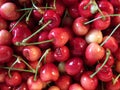 Rainier cherries, macro view Royalty Free Stock Photo