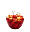 Rainier Cherries In A Red Bowl Royalty Free Stock Photo