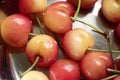 Rainier Cherries in a silver bowl Royalty Free Stock Photo