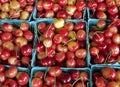 Rainier Cherry Royalty Free Stock Photo