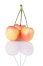 Rainier Cherry Trio Royalty Free Stock Photo