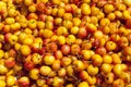 Ranier Cherries Royalty Free Stock Photo