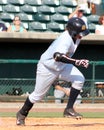 Rainiero Coa, Charleston RiverDogs