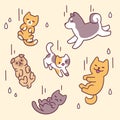 Raining cats and dogs