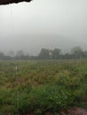 Raining grass trees hill soil