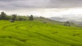 Raining on green rice terrace field and cloudy sky.