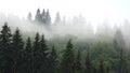 Raining in Mountains, Foggy Forest, Heavy Mystical Fog, Scary Stormy Mist Smoke over Alpine Wood on Rainy Day, Overcast Landscape Royalty Free Stock Photo