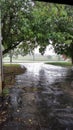 Raining On My Ranch In East Texas