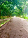 After rainning the beautiful road view. Royalty Free Stock Photo