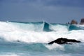 Rainstorm, giant waves, tsunami close-up.