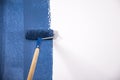 Raint roller with blue paint Royalty Free Stock Photo