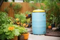 rainwater barrel in a garden setting