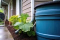 rainwater collection barrel under a house downspout Royalty Free Stock Photo