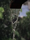 rainwater falling from the gutter of a house.