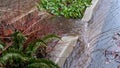 Rainwater flooding down a residential street and flood control ditch culvert planted with hardy plants