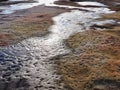 Rainwater Pools on Sandstone Outcrop