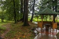 Rainy Autumn Day decorative gazebo decorated with climbing plants in Batumi Botanical Garden in Georgia Royalty Free Stock Photo