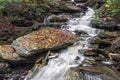 Rainy Autumn Day in Ganoga Glen Royalty Free Stock Photo