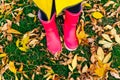 Yellow raincoat. Rubber pink boots against. Conceptual image of legs in boots on green grass Royalty Free Stock Photo