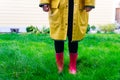 Yellow raincoat. Rubber pink boots against. Conceptual image of legs in boots on green grass Royalty Free Stock Photo