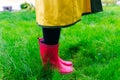 Yellow raincoat. Rubber pink boots against. Conceptual image of legs in boots on green grass Royalty Free Stock Photo