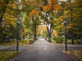 Rainy autumn season morning in the empty city park. Beautiful view and silence, colorful leaves fallen on the ground and alleys of Royalty Free Stock Photo
