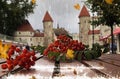 Rainy city rowan berry on wooden bench under rain drops rainy day Autum city weather forecast in Tallinn old town Royalty Free Stock Photo