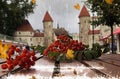 Rainy city rowan berry on wooden bench under rain drops rainy day Autum city weather forecast in Tallinn old town Royalty Free Stock Photo