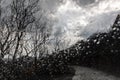 Rainy cloudy weather, storm through the window, road and tree silhouette, moody background