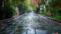 Rainy cobblestone lane, petals, garden, tranquility, spring Royalty Free Stock Photo