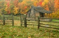 Rainy day in Autumn Royalty Free Stock Photo