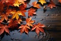 Rainy day beauty Maple tree branches reflect autumn colors magnificently Royalty Free Stock Photo