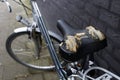 Damaged bicycle saddle on relatively new bike - cover is ragged  gel padding sticking out. Completely unusable. Royalty Free Stock Photo